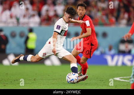 Vitinha beim FIFA-Weltmeisterschaftsspiel Katar 2022 Gruppe H zwischen Korea Republic und Portugal im Education City Stadium am 02. Dezember 2022 in Al Rayyan, Katar. (Foto: Pawel Andrachiewicz/PressFocus/Sipa USA) Stockfoto