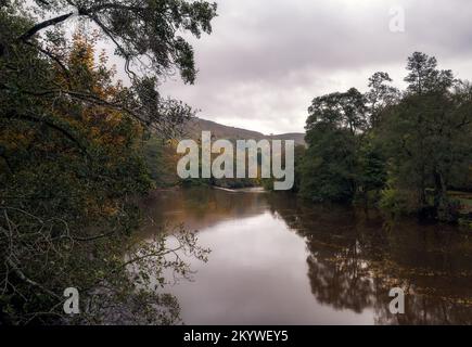 Spaziergang entlang des Flusses Derwent im Herbst, Blick auf Calver Wehr, Derbyshire, England Stockfoto