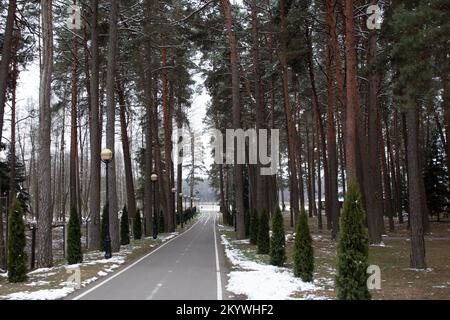 Ruhen Sie sich im Winter in einem Pinienwald am Ufer des Sees aus. Eine Asphaltgasse in einem Nadelwald führt zu einem gefrorenen See. Laternen entlang des Fußwegs. Stockfoto