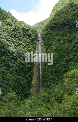 Hoher Wasserfall in den Bergen auf der tropischen Insel La Réunion, Frankreich Stockfoto