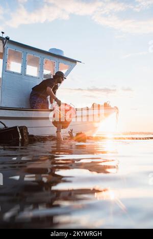 Austernte bei Sonnenaufgang in Narragansett Bay Stockfoto