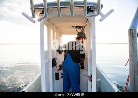 Austernte bei Sonnenaufgang in Narragansett Bay Stockfoto