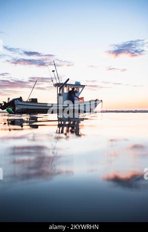 Austernte bei Sonnenaufgang in Narragansett Bay Stockfoto