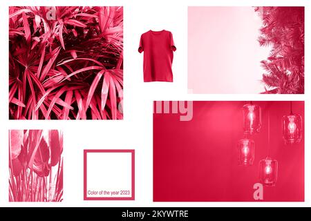 Collage mit der modischen Farbe von 2023. Viva Magenta. Trendfarbe des 2023. Stockfoto