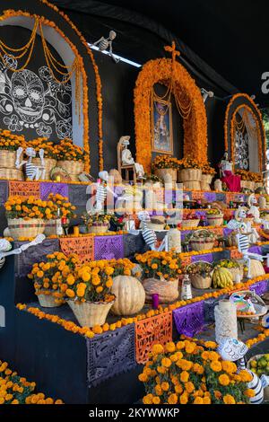 Eine große Orenda im Zocalo vor der Metropolitan Cathedral, um den Tag der Toten in Oaxaca, Mexiko, zu feiern. Stockfoto