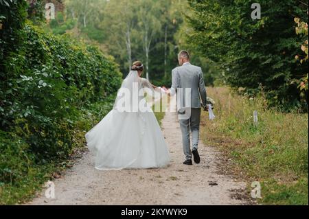 Der Bräutigam hält die Hand der Braut vor dem Hintergrund einer wunderschönen Landschaft. Die Frischvermählten halten sich gegenseitig die Hand. Stockfoto