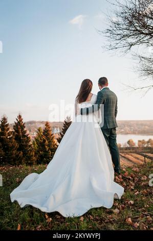 Der Bräutigam hält die Hand der Braut vor dem Hintergrund einer wunderschönen Landschaft. Die Frischvermählten halten sich gegenseitig die Hand. Stockfoto