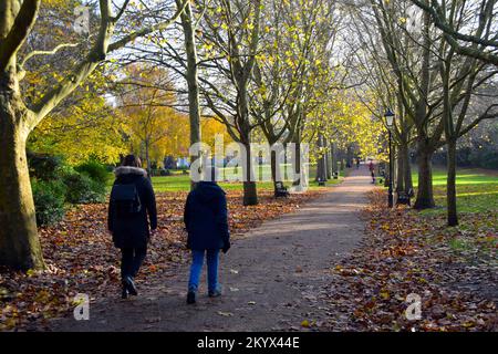 Im Vines Park in Rochester am 1. Dezember könnt ihr die sonnigen Winterspaziergänge und die heruntergefallenen Blätter genießen. Stockfoto