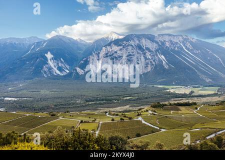 Blick auf die Umgebung von Schloss Aigle in der Schweiz Stockfoto