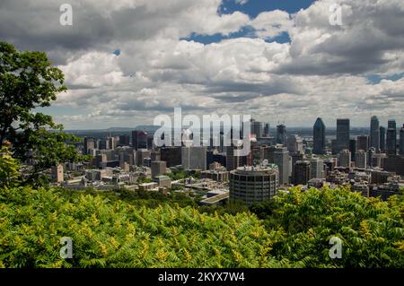 Sommerlandschaft in Montreal Stockfoto