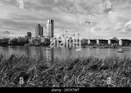 East Reservoir und Rollbetten im Naturschutzgebiet Woodberry Wetlands, North London, Großbritannien, in Monochrom Stockfoto