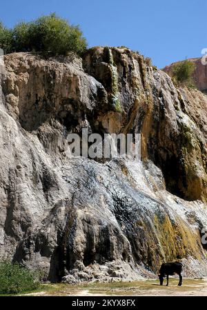 Bamyan (Bamiyan) in Zentralafghanistan. Die Seen bestehen aus Travertindämmen. Detail einer Travertin-Wand von unten. Stockfoto