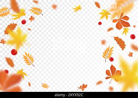 Fallen bunte Herbst Ahorn und Eichenblätter, Viburnum und Eicheln mit Unschärfe-Effekt. Herbst Hintergrund mit Blatt fallen für Ihr Design. vektor Stock Vektor