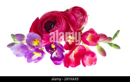 Freeseia frische Blumen Stockfoto
