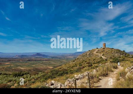 Frau, die an einem sonnigen Herbstmorgen auf dem Pfad zum alten arabischen Turm von Deifontes (Granada, Spanien) spaziert Stockfoto