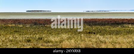 FATA-Morgana-Fata sieht aus wie UFO über der Wüste. Etosha, Namibia. Stockfoto