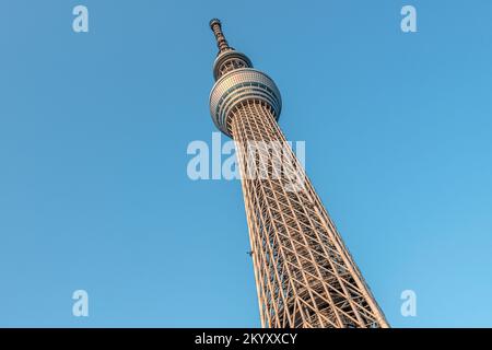 Tokio Skytree (Tokio Sukaitsurī) und Aussichtsturm in Sumida, Nahaufnahme, Tokio, Japan Stockfoto