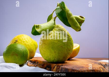 Auswahl an Zitrusfrüchten, reifer Bergamotte und Zitronencitron Cedrate oder Citrus Medica, große, duftende Zitrusfrüchte mit dicker Rinde Stockfoto