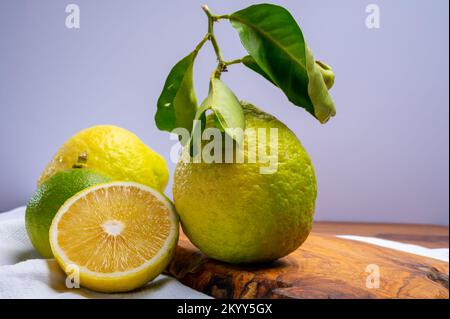 Auswahl an Zitrusfrüchten, reifer Bergamotte und Zitronencitron Cedrate oder Citrus Medica, große, duftende Zitrusfrüchte mit dicker Rinde Stockfoto