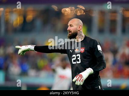 Serbiens Torhüterin Vanja Milinkovic-Savic während des Gruppenspiels der FIFA-Weltmeisterschaft G im Stadium 974 in Doha, Katar. Foto: Freitag, 2. Dezember 2022. Stockfoto