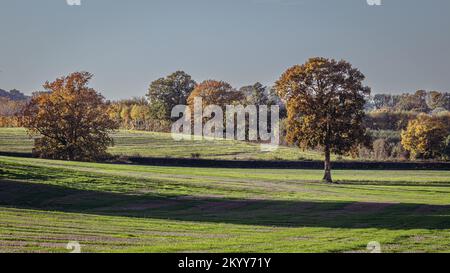 Kentish Farmland mit Herbstfarben Stockfoto