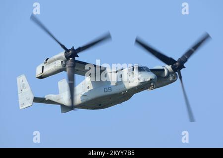 Präfektur Kanagawa, Japan - 15. Juli 2014: US Marine Corps Bell Boeing MV-22B Osprey Tiltrotor Militärtransportflugzeug von VMM-265 Dragons. Stockfoto