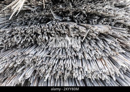 Geschnittenes Schilf für graue Hintergrundstruktur des Strandschirms Stockfoto