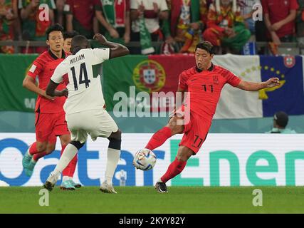 2.. Dezember 2022, Education City Stadium, Doha, QAT, Weltmeisterschaft FIFA 2022, Gruppe H, Südkorea gegen Portugal, auf dem Bild Portugals Mittelfeldspieler William Carvalho, Südkoreas Mittelfeldspieler Hwang Hee-chan Stockfoto