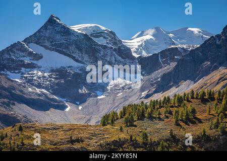 BERNINA und Palu Gebirgskette mit Gletschern in den Alpen, Engadine, Schweiz Stockfoto