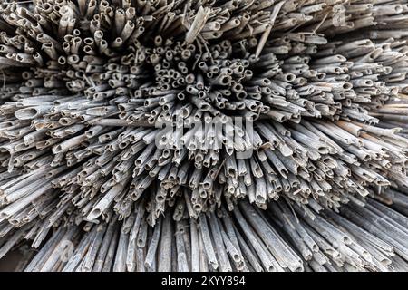 Geschnittenes Schilf für graue Hintergrundstruktur des Strandschirms Stockfoto