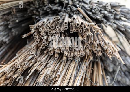 Geschnittenes Schilf für graue Hintergrundstruktur des Strandschirms Stockfoto