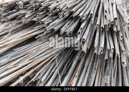 Geschnittenes Schilf für graue Hintergrundstruktur des Strandschirms Stockfoto