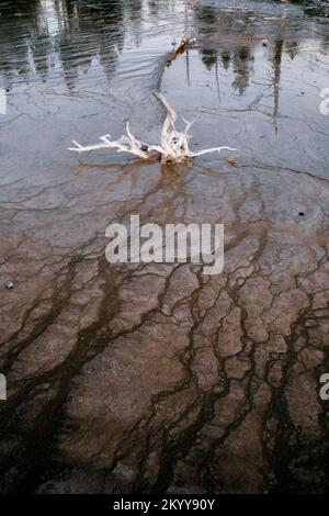 WY05153-00....Wyoming - Muster und Reflexionen im Fountain Paint Pots Area, Lower Geyser Basin, Yellowstone National Park. Stockfoto