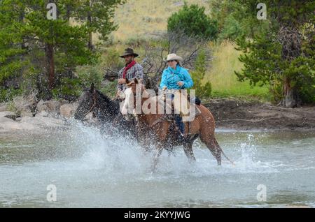 Cowboys und Pferde überqueren den Fluss in Wyoming Stockfoto