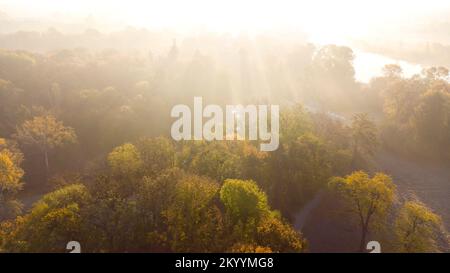 Flug über die Bäume, die Lichtung, den Fluss im Park an einem sonnigen Herbsttag. Draufsicht. Herbst, Herbstsaison. Sonnenstrahlen. Wunderschöner natürlicher Hintergrund. Rosa Sonnenblende. Sonnenlicht, strahlende Sonnenstrahlen Stockfoto