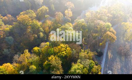 Luftfliegen über Bäume mit gelben Blättern, Wiesen, Feldwege mit Morgennebel ein herbstsonniger Morgen im Park. Helles Sonnenlicht, strahlende Sonnenstrahlen, Sonnenüberstrahlung. Wunderschöner natürlicher Hintergrund Stockfoto