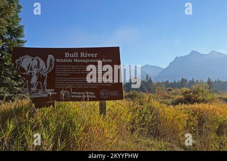 Bull River Wildlife Management Area im Bull River Valley im Herbst. Sanders County, Nordwest-Montana. (Foto: Randy Beacham) Stockfoto