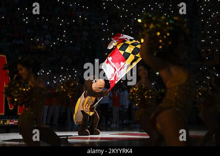 College Park, MD, USA. 02.. Dezember 2022. Das Maskottchen der Maryland Terrapins schwingt vor dem NCAA-Basketballspiel zwischen den Maryland Terrapins und den Illinois Fighting Illini im Xfinity Center in College Park, MD. Reggie Hildred/CSM/Alamy Live News Stockfoto