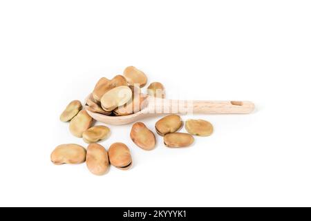Fava-Bohnen, die um einen Holzlöffel verstreut sind, isoliert über weiße Top-Down-Aussicht Stockfoto