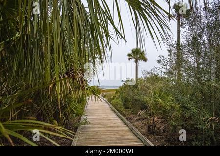Uferpromenade am Tolomato River auf einer Salzmarschlandinsel entlang des Tolomato River in Palencia in St. Augustine, Florida. (USA) Stockfoto
