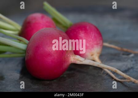 Nahaufnahme von drei roten Radieschen, die auf einer dunklen Metallplatte liegen. Das Gemüse wird von der Seite fotografiert. Stockfoto