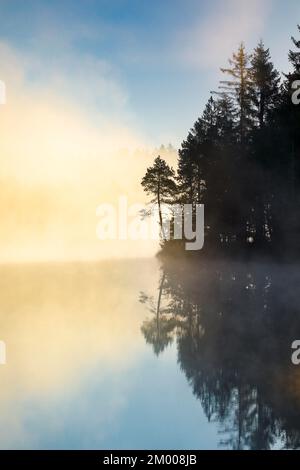 Kiefern- und Waldsilhouette bei Sonnenaufgang mit Hintergrundbeleuchtung über dem Moorsee Etang de la Gruère im Kanton Jura, Schweiz, Europa Stockfoto