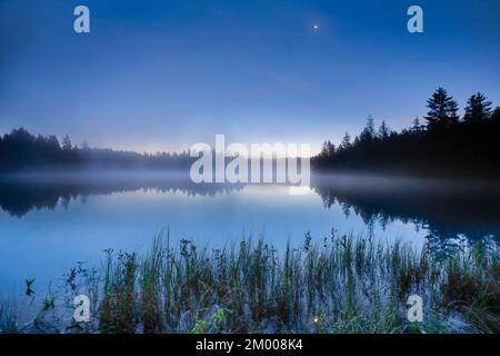 Halbmond über dem spiegelglatten Sumpfsee Etang de la Gruère im Kanton Jura, Schweiz, Europa Stockfoto