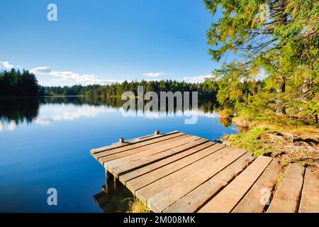 Badesteg am Seeufer des Sumpfsees Etang de la Gruère im Kanton Jura, Schweiz, Europa Stockfoto