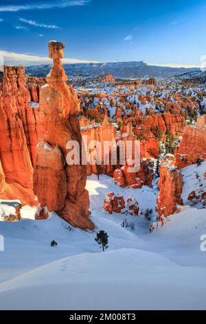 Bryce Canyon im Winter, Blick vom Sunset Point, Kalkstein-Hoodoos, Bryce Canyon-Nationalpark, Utah, USA, Nordamerika Stockfoto