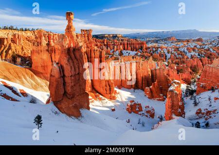 Bryce Canyon im Winter, Blick vom Sunset Point, Kalkstein-Hoodoos, Bryce Canyon-Nationalpark, Utah, USA, Nordamerika Stockfoto