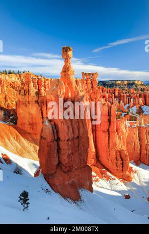 Bryce Canyon im Winter, Blick vom Sunset Point, Kalkstein-Hoodoos, Bryce Canyon-Nationalpark, Utah, USA, Nordamerika Stockfoto