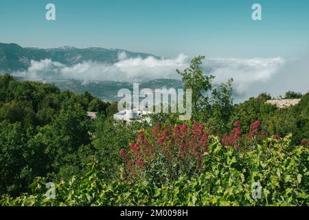 Über den Wolken im Libanon Stockfoto