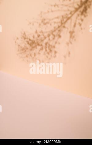 Abstrakter Hintergrund mit Kopierbereich. Schatten aus einem Zweig einer flauschigen Pflanze auf beigefarbenem Hintergrund. Stockfoto