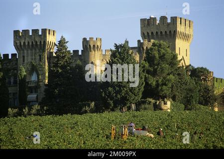 Frankreich. Vaucluse (84) Region Provence. Das Dorf Chateau-Neuf-du-Pape. Das Schloss der Fines Roches und Grappenernte Stockfoto